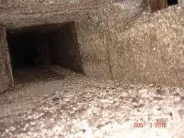Mold growing inside an HVAC system after water damage in a Fairfield County home