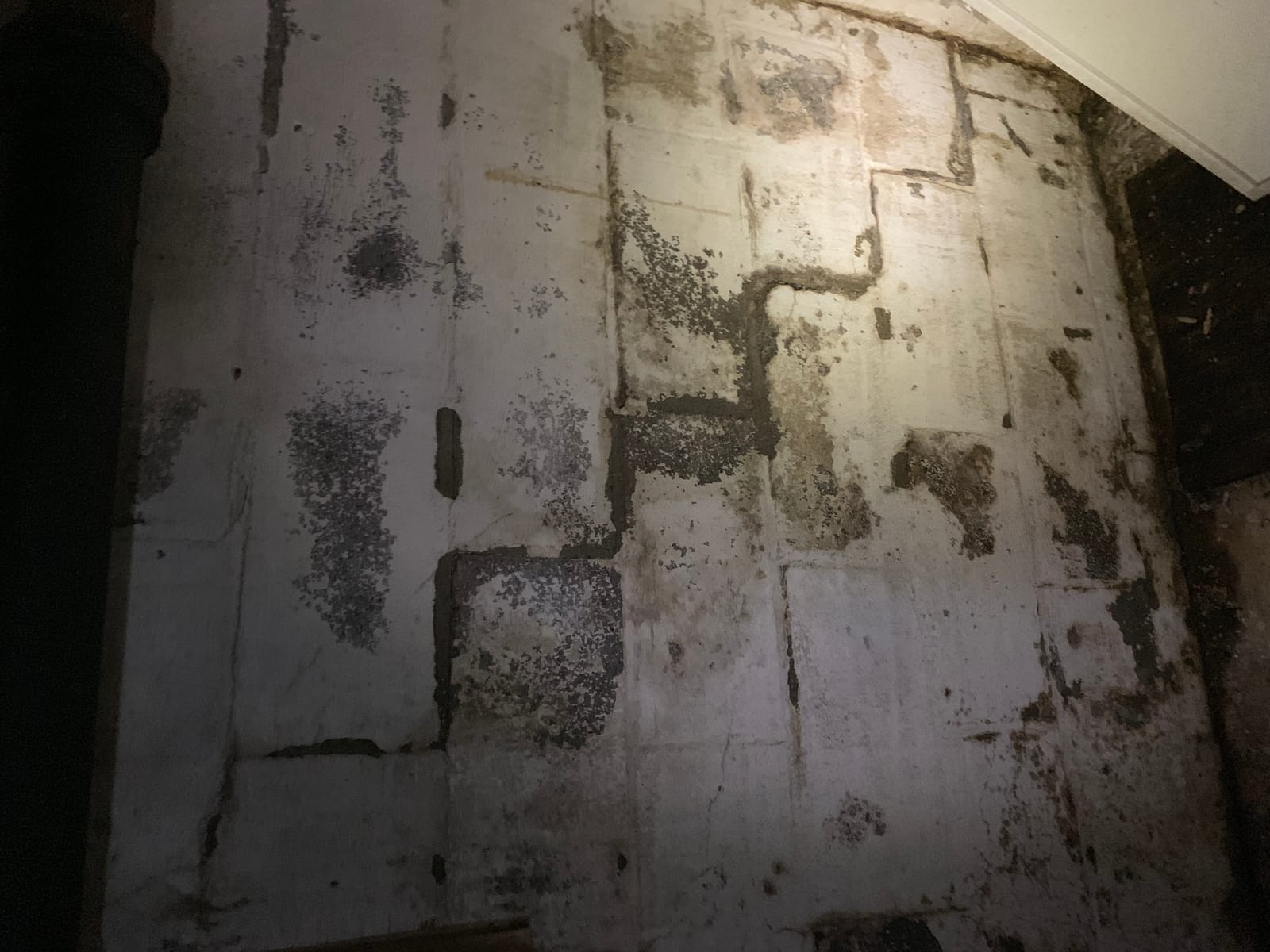 Heavy mold and dark staining covering a stone basement foundation wall