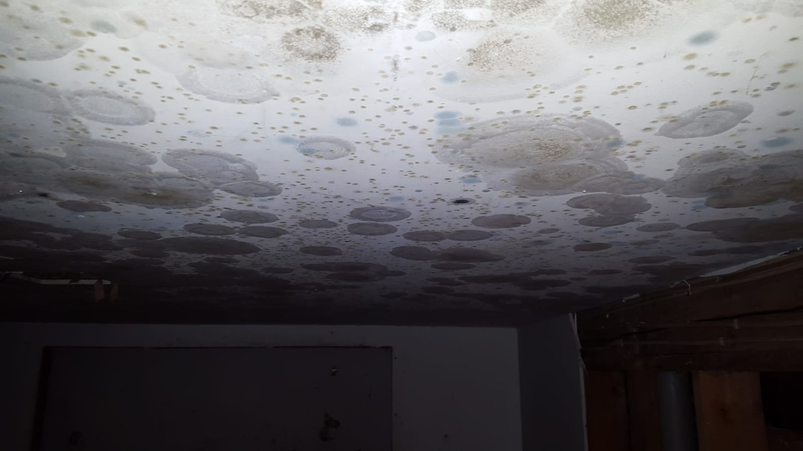 Mold on Bathroom Ceiling or Walls