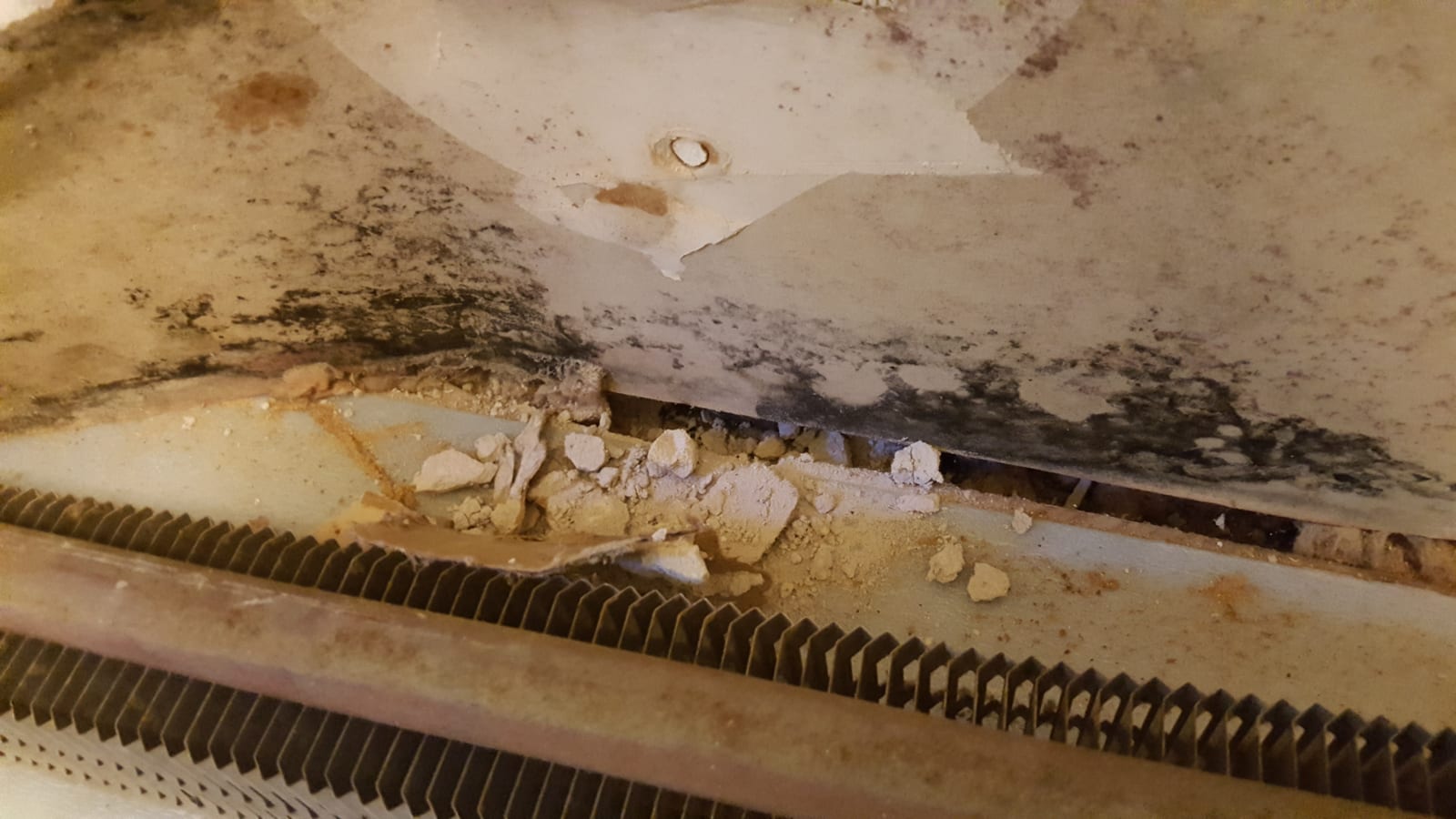 Visible black mold spreading across plaster wall — IICRC S520 mold remediation in Fairfield County CT and Westchester NY