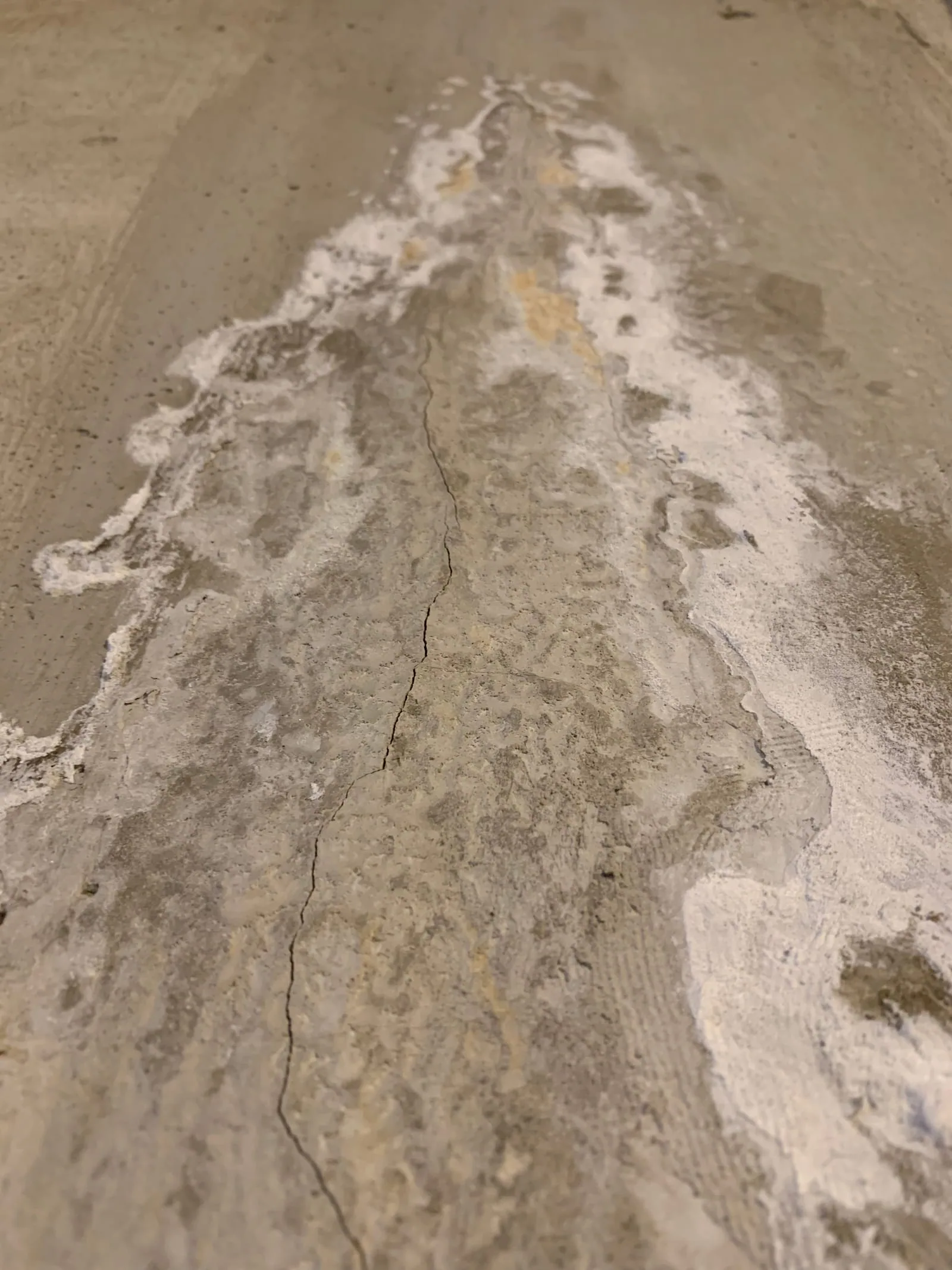 Efflorescence white powder on foundation wall in Darien CT basement