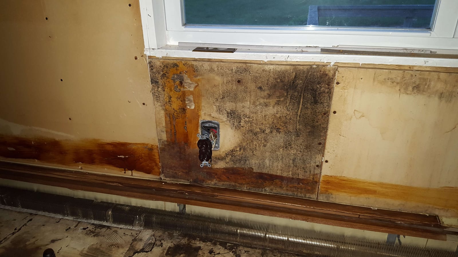 Water-damaged sheathing exposed after drywall flood-cut around a window